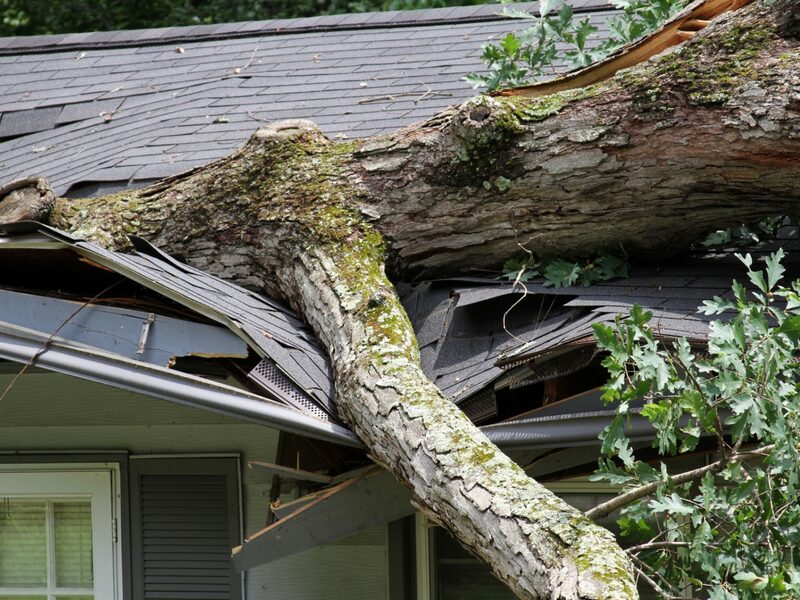 Storm Damage Restoration in Charleston, SC